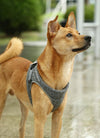 Instachew PETKIT Air Pro Dog Harness