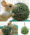 Stainless Steel Round Sphere Feed Dispense Exercise Hanging Hay Ball