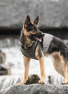 US Army Dog Cooling Vest - Grey