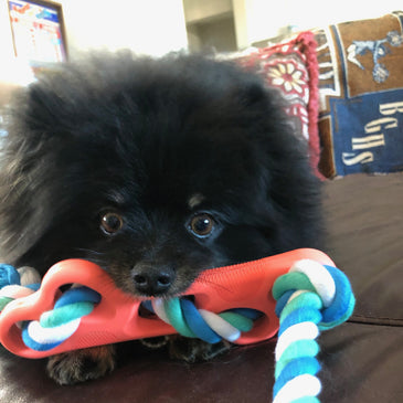 Rubber Bone Chew Toy with Tug Rope