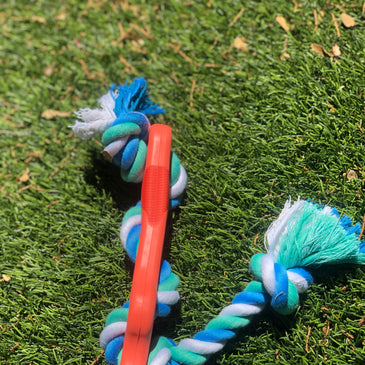 Rubber Bone Chew Toy with Tug Rope