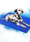 Pet Cooling Mats