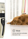 Pet Hair Clipper Set